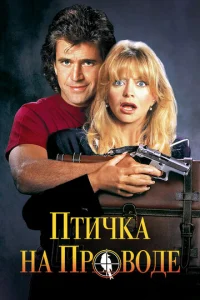 Ոтuchckojk kvjojk nrh010100ldoe